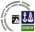 ISO 9001 Logo 1